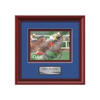 VividPrint award framed in our exquisite Raven molding with your choice......