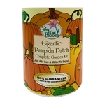 Gigantic Pumpkin Patch Garden in Eco-Friendly Grocan