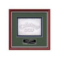 Cast Paper award framed in our exquisite Baron molding with your... from ASI...