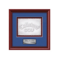 The Raven Cast Paper Framed Award capitalizes on the organic, delicate......