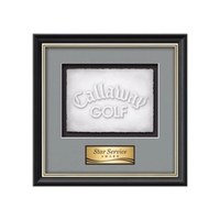 Cast Paper award framed in our exquisite Baron molding with your... from ASI...