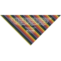 Freedom Rainbow Novelty Triangle - USA Made