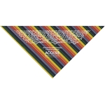 Freedom Rainbow Novelty Triangle - USA Made