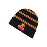 Beanie with Embroidered Logo & Fold