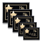 Hollister Plaque - Black/Gold