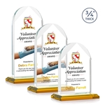 Blake VividPrint™ Award - Amber