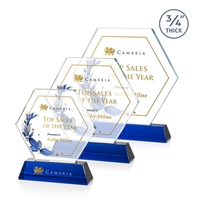 Ralston VividPrint™ Award - Blue
