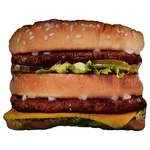 Custom Shape Pillows- 20x30