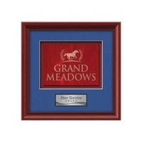 Stained Glass award framed in our exquisite Raven molding with your... from...