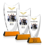 Dawkins VividPrint™ Award - Amber