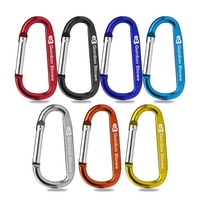 You could use it as a key chain clip. Use it... from ASI 90154 Sunjoy Group Inc
