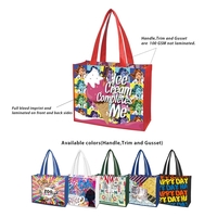 Free Shipping 16 x 12 Small Quantity Custom Laminated Bag