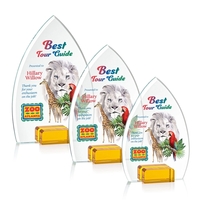 Aylin VividPrint™ Award - Amber