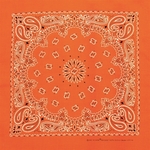 Neon Paisley 22" x 22" 100% Cotton USA Made