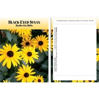 Standard Series Black-Eyed Susan Flower Seeds