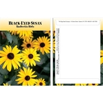 Standard Series Black-Eyed Susan Flower Seeds