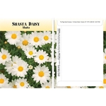 Standard Series Shasta Daisy Flower Seeds