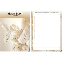 Standard Series Money Plant Seeds