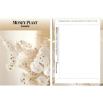 Standard Series Money Plant Seeds