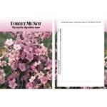 Standard Series Pink Forget-Me-Not Flower Seeds (Pink)