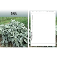 Standard Series Sage seeds in a packet made of recycled paper.... from ASI...