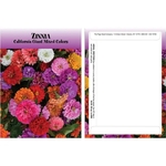 Standard Series Zinnia Flower Seeds