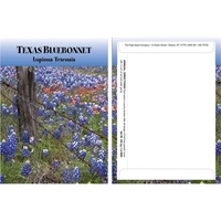Standard Series Texas Bluebonnet Flower Seeds