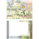 Dorothy's Kids Series Shasta Daisy Seeds