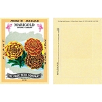 Antique Series Marigold Flower Seeds