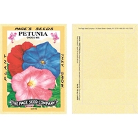 Antique Series Petunia Seeds