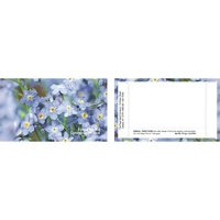 Blue Forget-Me-Not flower seeds in a packet made of recycled paper... from...