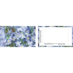 Business Card Series Forget-Me-Not Flower Seeds