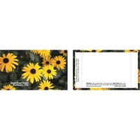 Business Card Series Black-Eyed Susan Flower Seeds