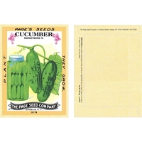Antique Series Cucumber Seeds