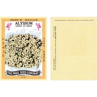 Antique Series Alyssum Flower Seeds