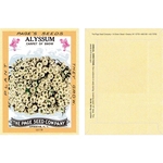Antique Series Alyssum Flower Seeds