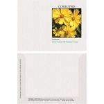 Impression Series Coreopsis Flower Seeds