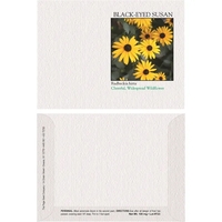 Impression Series Black-Eyed Susan flower seeds in a packet made of... from...