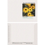 Impression Series Black Eyed Susan Flower Seeds