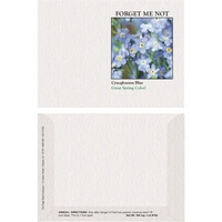 Impression Series Blue Forget Me Not Seeds
