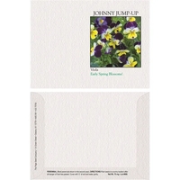 Impression Series Johnny Jump-Up Flower Seeds