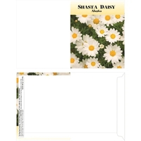 Mailable Series Shasta Daisy seeds