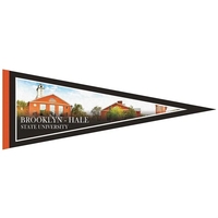 9" x 24" digitally printed custom felt pennant.... from ASI 80228 Quinn