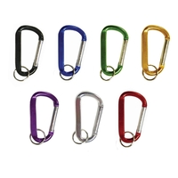 Carabiner keychain.... from ASI 85620 H M Schmidt Co Inc / Traveling Billboard