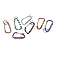 Carabiner with split key ring