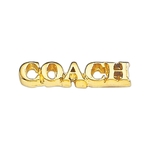 Coach Lapel Pin