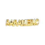 Paramedic (2 posts) Lapel Pin
