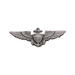 Pilot's Wings (2 Posts) Lapel Pin