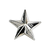 1/2" 3D star lapel pin with military clutch.... from ASI 68760 Marken...