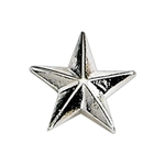 1/2" 3D Star Lapel Pin